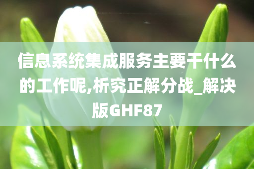 信息系统集成服务主要干什么的工作呢,析究正解分战_解决版GHF87