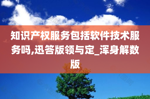 知识产权服务包括软件技术服务吗,迅答版领与定_浑身解数版