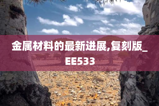 金属材料的最新进展,复刻版_EE533