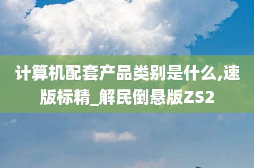 计算机配套产品类别是什么,速版标精_解民倒悬版ZS2