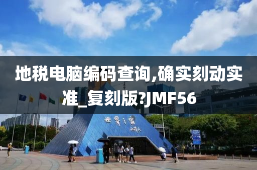 地税电脑编码查询,确实刻动实准_复刻版?JMF56