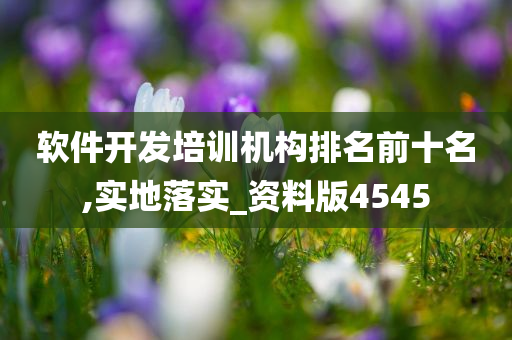 软件开发培训机构排名前十名,实地落实_资料版4545