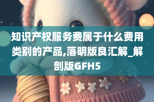 知识产权服务费属于什么费用类别的产品,落明版良汇解_解剖版GFH5