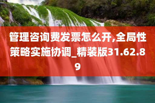 管理咨询费发票怎么开,全局性策略实施协调_精装版31.62.89