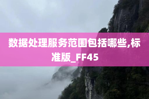 数据处理服务范围包括哪些,标准版_FF45