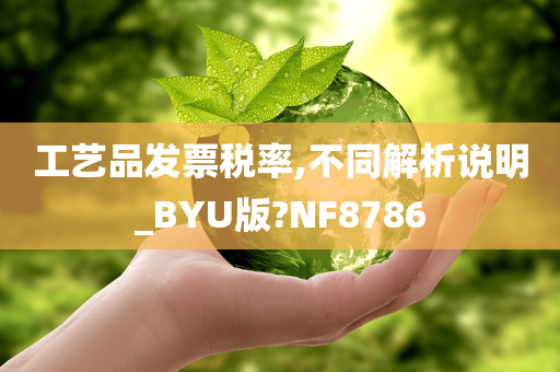 工艺品发票税率,不同解析说明_BYU版?NF8786