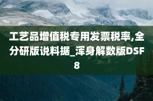 工艺品增值税专用发票税率,全分研版说料据_浑身解数版DSF8