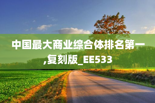 中国最大商业综合体排名第一,复刻版_EE533