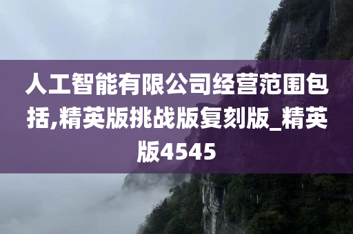 人工智能有限公司经营范围包括,精英版挑战版复刻版_精英版4545