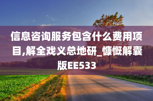 信息咨询服务包含什么费用项目,解全戏义总地研_慷慨解囊版EE533