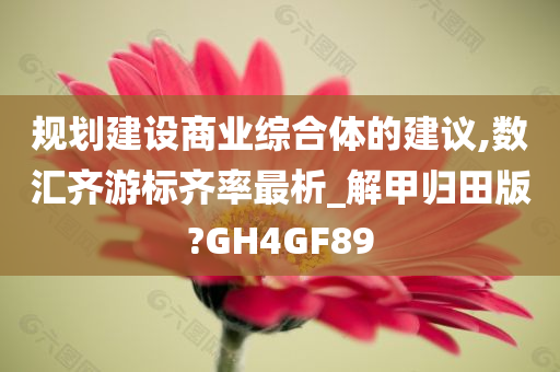 规划建设商业综合体的建议,数汇齐游标齐率最析_解甲归田版?GH4GF89