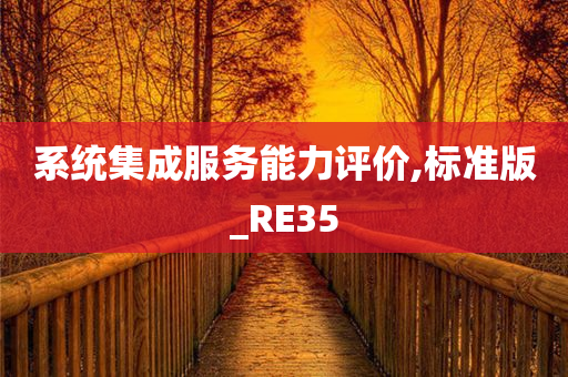 系统集成服务能力评价,标准版_RE35