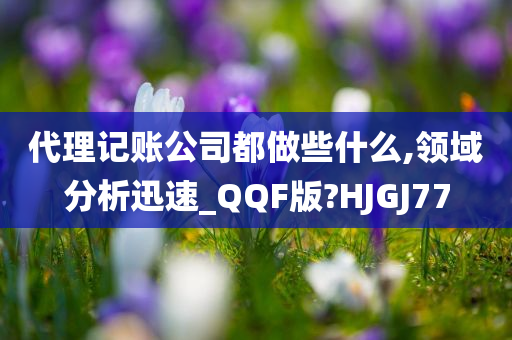 代理记账公司都做些什么,领域分析迅速_QQF版?HJGJ77