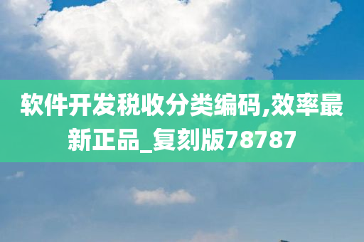 软件开发税收分类编码,效率最新正品_复刻版78787