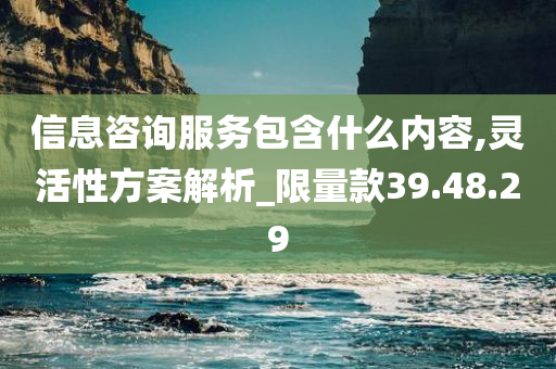 信息咨询服务包含什么内容,灵活性方案解析_限量款39.48.29