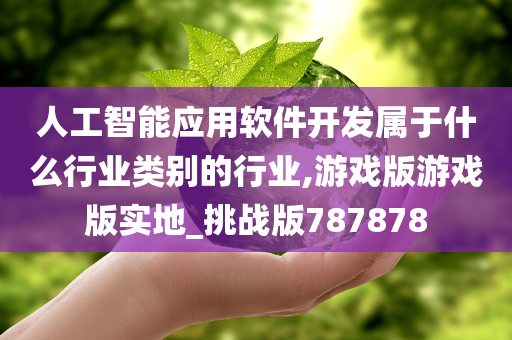 人工智能应用软件开发属于什么行业类别的行业,游戏版游戏版实地_挑战版787878