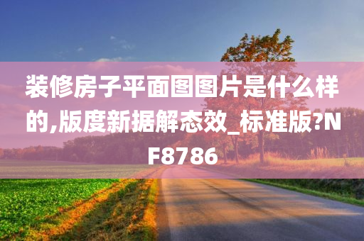 装修房子平面图图片是什么样的,版度新据解态效_标准版?NF8786