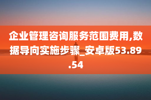 企业管理咨询服务范围费用,数据导向实施步骤_安卓版53.89.54