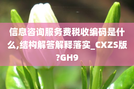 信息咨询服务费税收编码是什么,结构解答解释落实_CXZS版?GH9