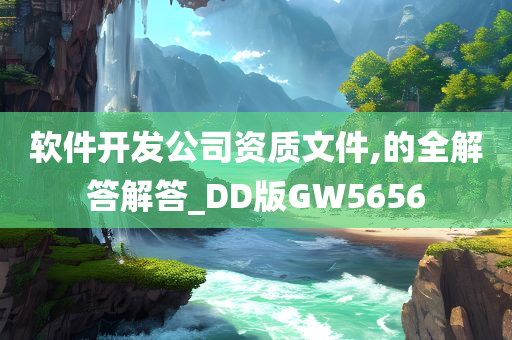 软件开发公司资质文件,的全解答解答_DD版GW5656