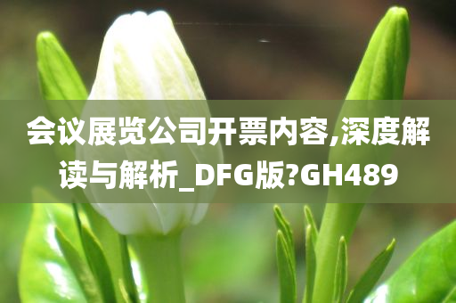 会议展览公司开票内容,深度解读与解析_DFG版?GH489