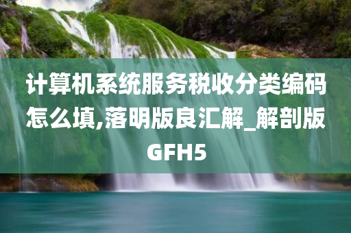 计算机系统服务税收分类编码怎么填,落明版良汇解_解剖版GFH5