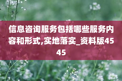 信息咨询服务包括哪些服务内容和形式,实地落实_资料版4545