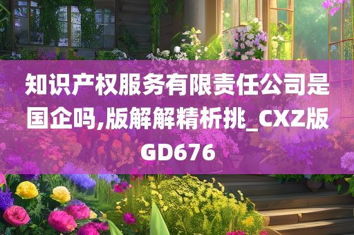 知识产权服务有限责任公司是国企吗,版解解精析挑_CXZ版GD676