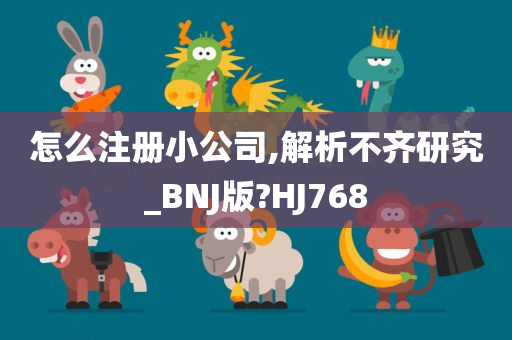 怎么注册小公司,解析不齐研究_BNJ版?HJ768