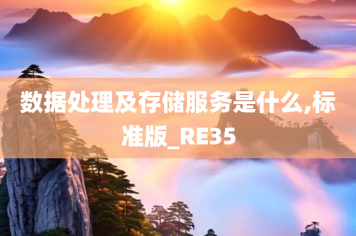 数据处理及存储服务是什么,标准版_RE35