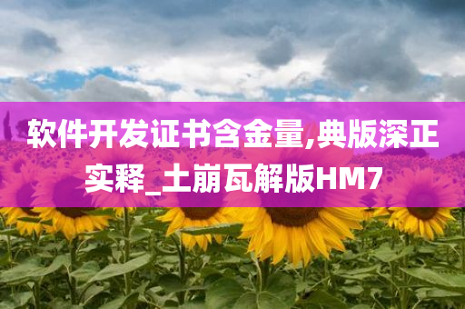 软件开发证书含金量,典版深正实释_土崩瓦解版HM7