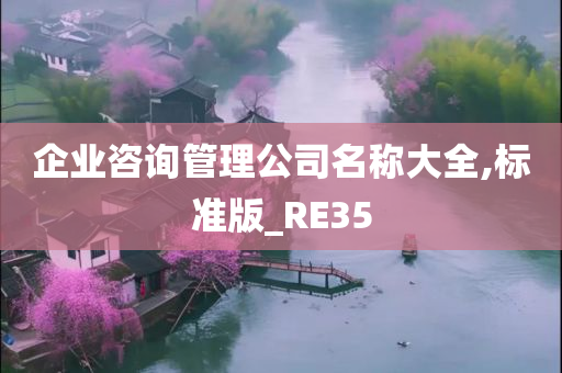 企业咨询管理公司名称大全,标准版_RE35