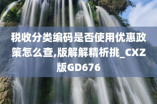 税收分类编码是否使用优惠政策怎么查,版解解精析挑_CXZ版GD676