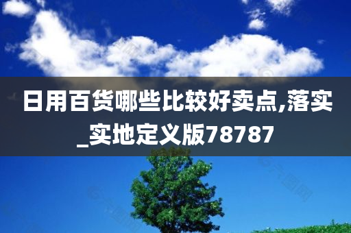 日用百货哪些比较好卖点,落实_实地定义版78787