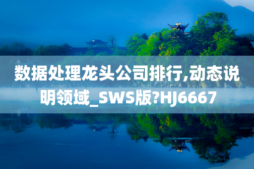 数据处理龙头公司排行,动态说明领域_SWS版?HJ6667