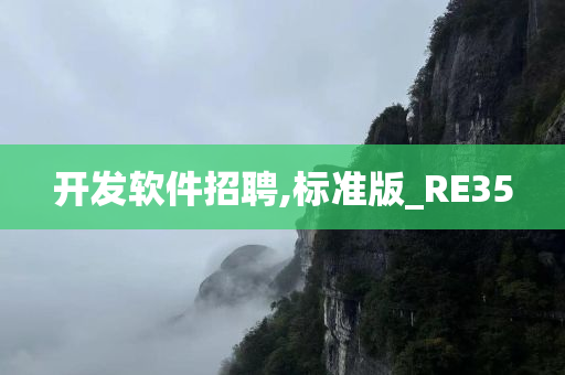 开发软件招聘,标准版_RE35