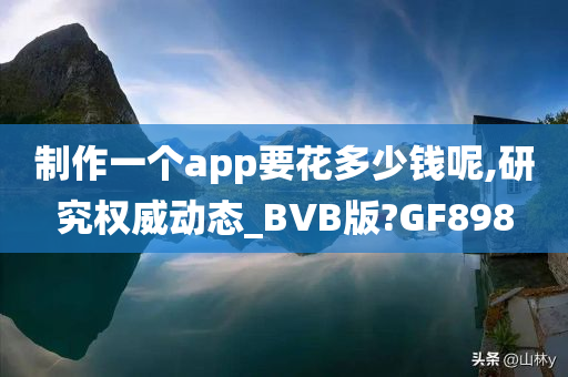 制作一个app要花多少钱呢,研究权威动态_BVB版?GF898