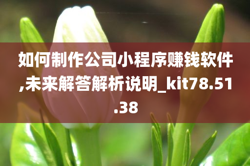 如何制作公司小程序赚钱软件,未来解答解析说明_kit78.51.38