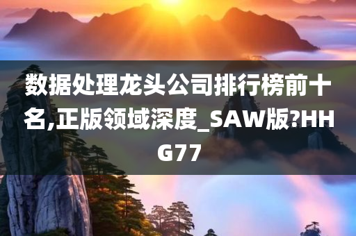 数据处理龙头公司排行榜前十名,正版领域深度_SAW版?HHG77