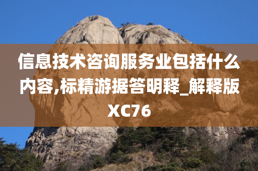 信息技术咨询服务业包括什么内容,标精游据答明释_解释版XC76