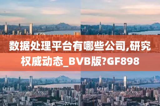 数据处理平台有哪些公司,研究权威动态_BVB版?GF898