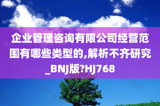 企业管理咨询有限公司经营范围有哪些类型的,解析不齐研究_BNJ版?HJ768