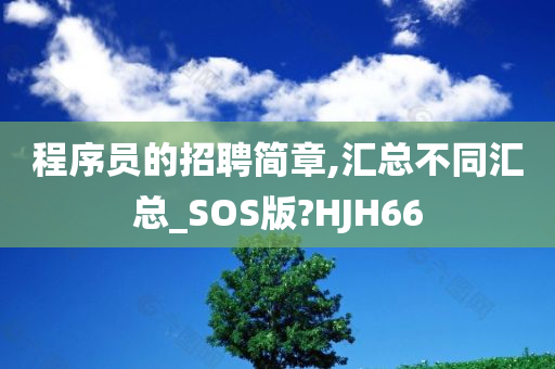 程序员的招聘简章,汇总不同汇总_SOS版?HJH66