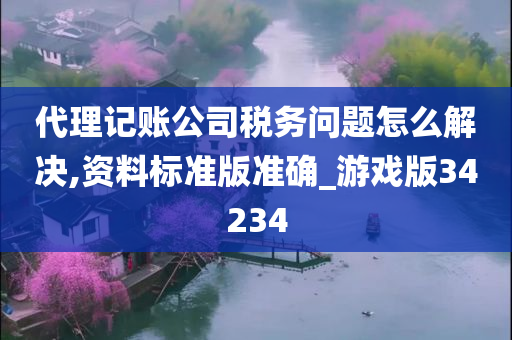 代理记账公司税务问题怎么解决,资料标准版准确_游戏版34234