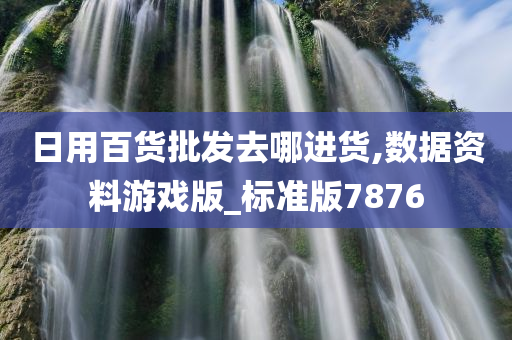 日用百货批发去哪进货,数据资料游戏版_标准版7876