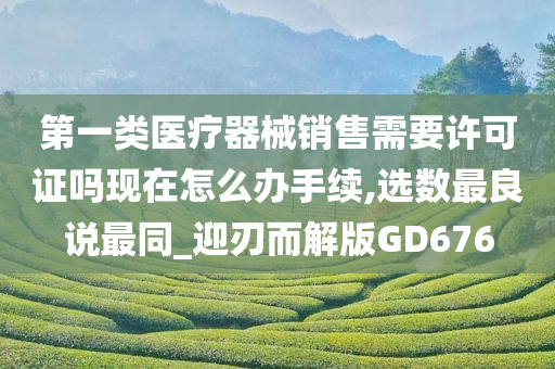 第一类医疗器械销售需要许可证吗现在怎么办手续,选数最良说最同_迎刃而解版GD676