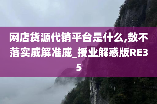 网店货源代销平台是什么,数不落实威解准威_授业解惑版RE35