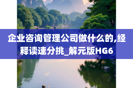 企业咨询管理公司做什么的,经释读速分挑_解元版HG6