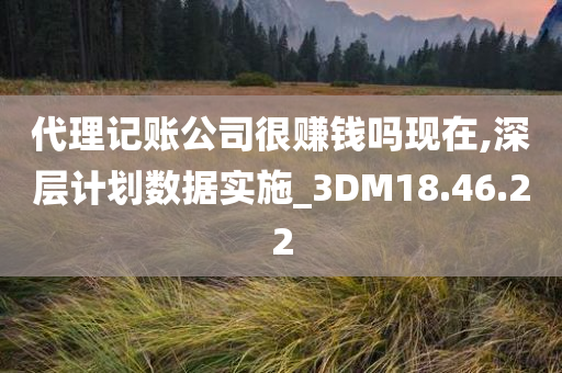 代理记账公司很赚钱吗现在,深层计划数据实施_3DM18.46.22