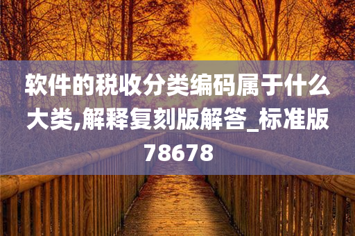 软件的税收分类编码属于什么大类,解释复刻版解答_标准版78678